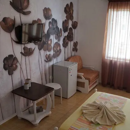 аnestievi Pensionat 3*